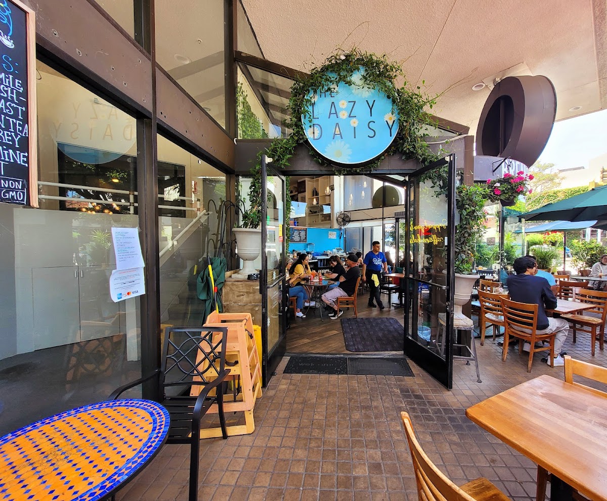 Lazy Daisy - Westwood